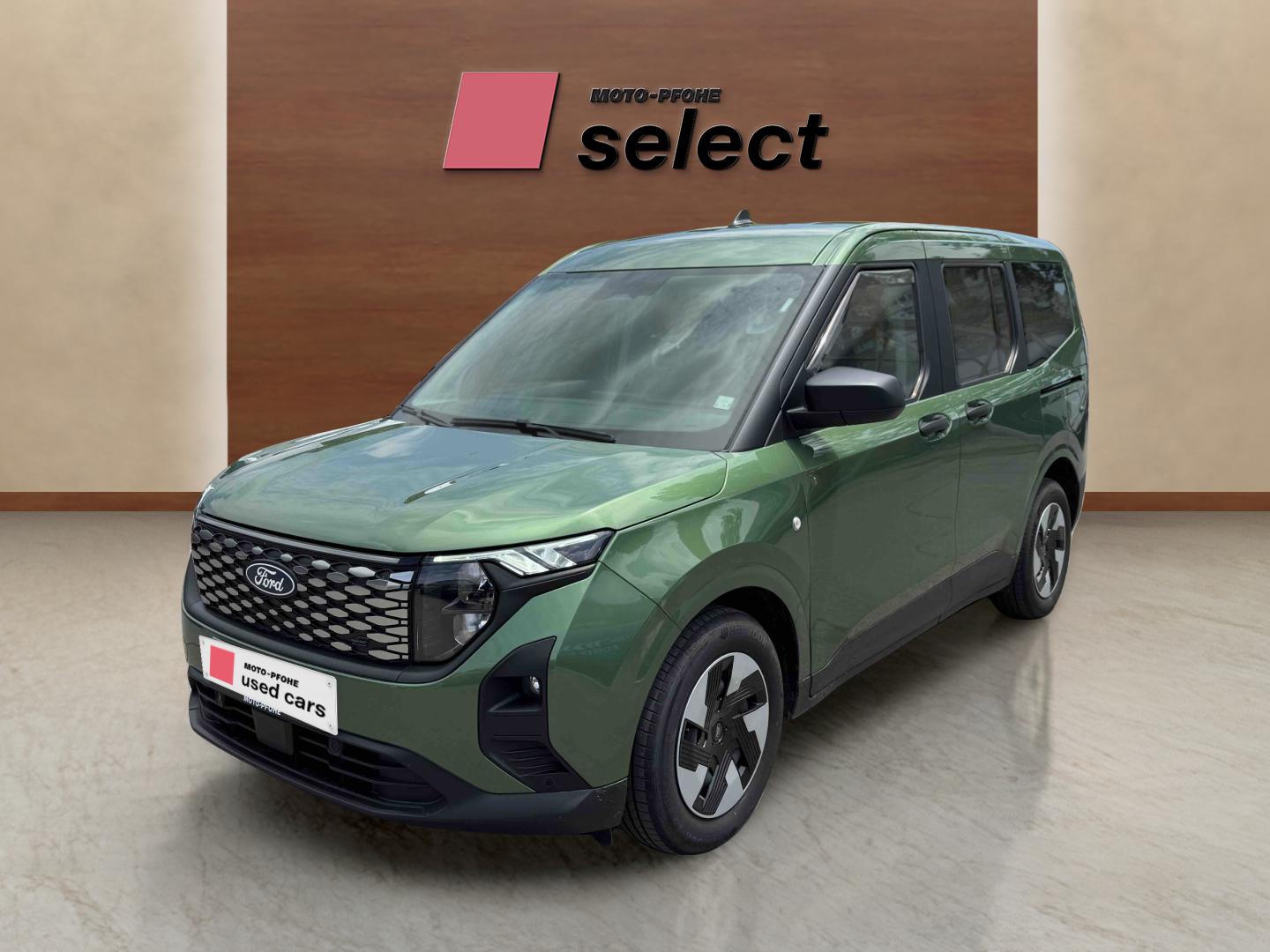 Ford E-Courier употребяван