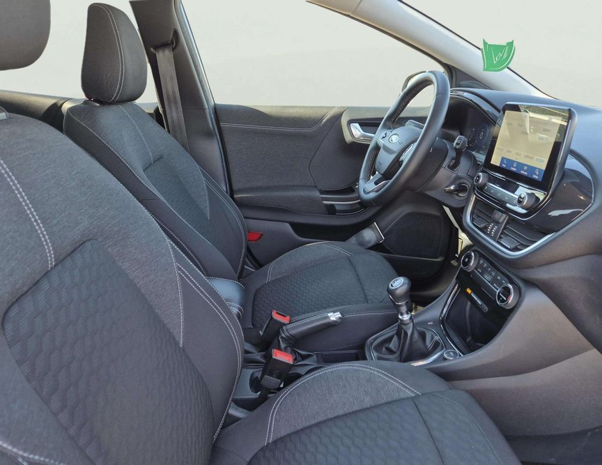 Ford Puma употребяван