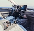 Ford Kuga употребяван