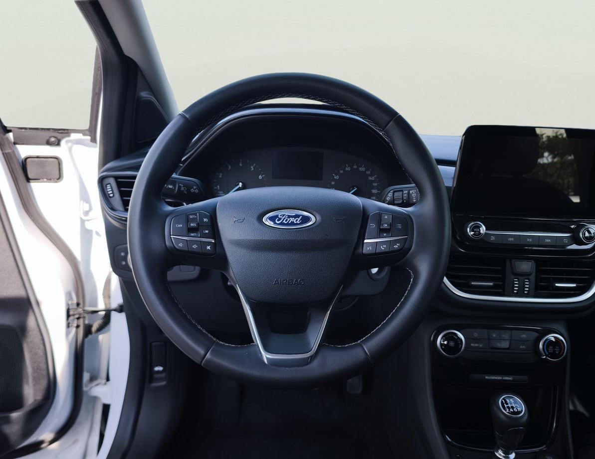 Ford Puma употребяван