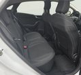 Ford Puma употребяван