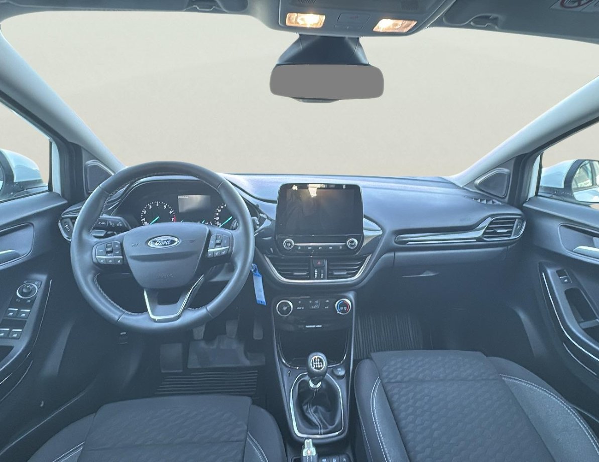 Ford Puma употребяван