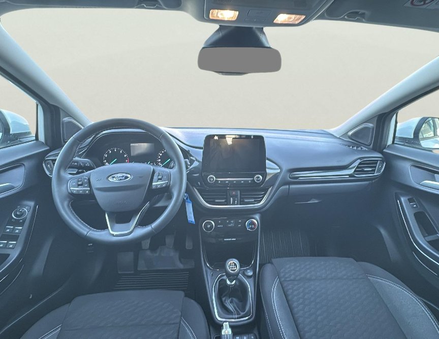 Ford Puma употребяван