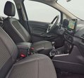 Ford EcoSport употребяван