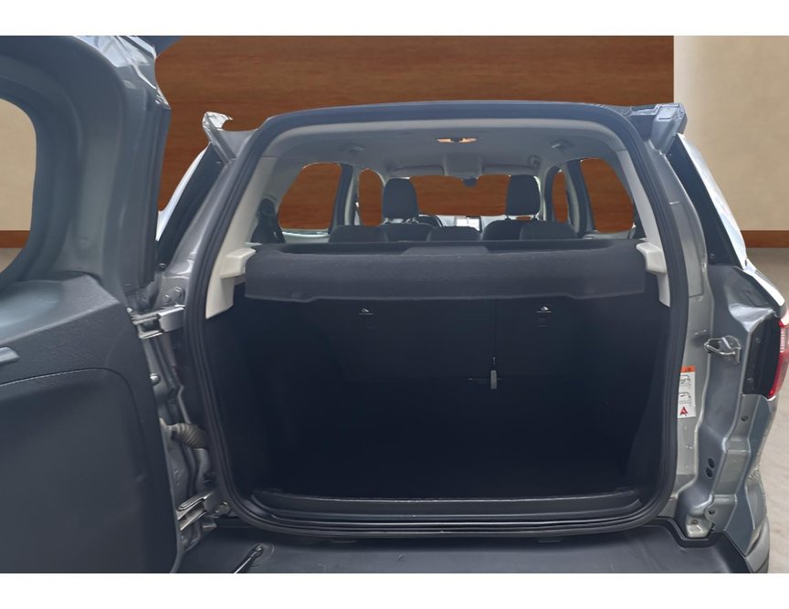 Ford EcoSport употребяван