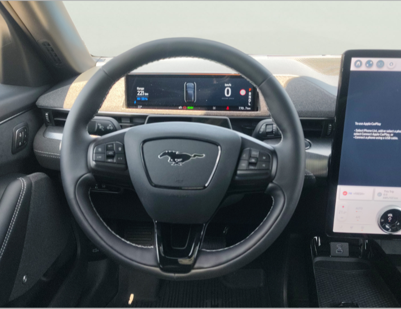 Ford Mach-E употребяван
