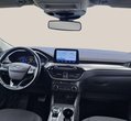 Ford Kuga употребяван