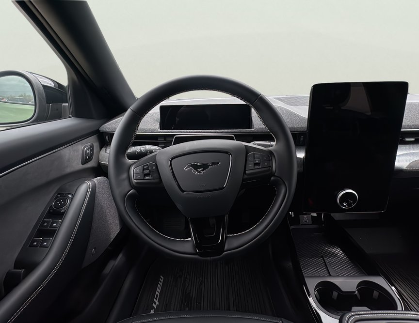 Ford Mach-E употребяван