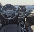 Ford Puma употребяван