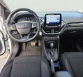 Ford Puma употребяван