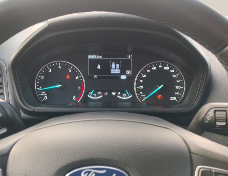 Ford EcoSport употребяван