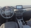 Ford Kuga употребяван