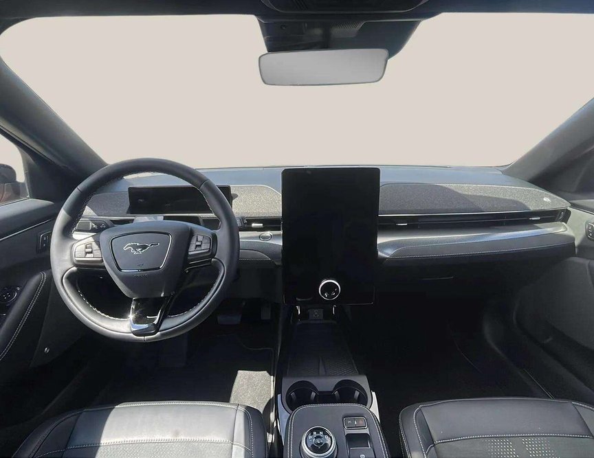 Ford Mach-E употребяван