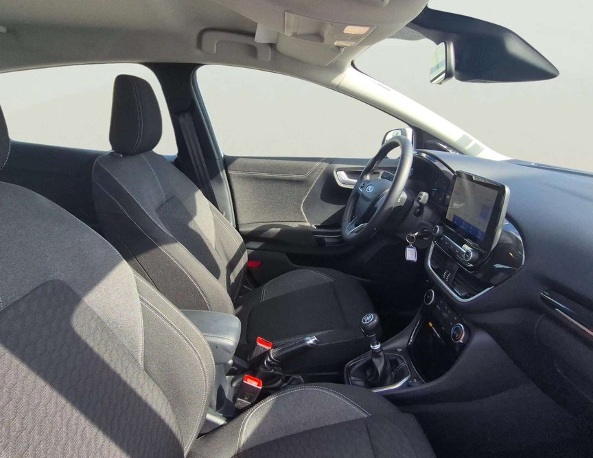 Ford Puma употребяван