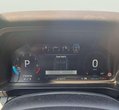 Ford Ranger употребяван