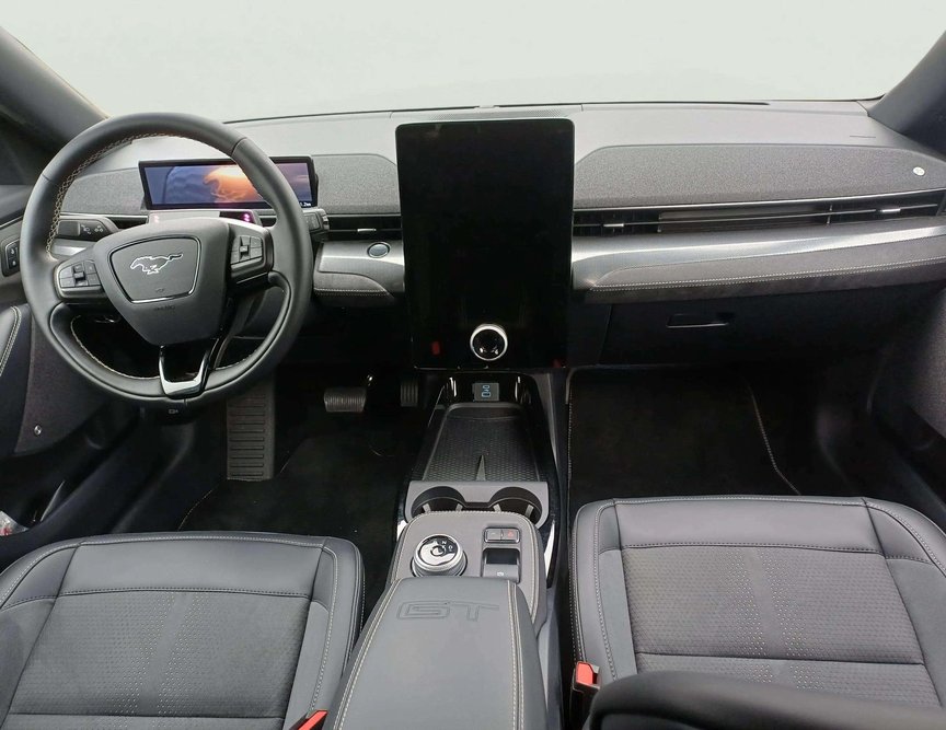 Ford Mach-E употребяван
