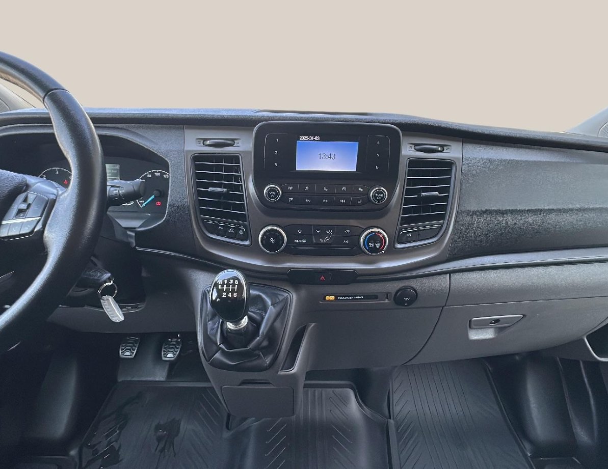 Ford Custom употребяван