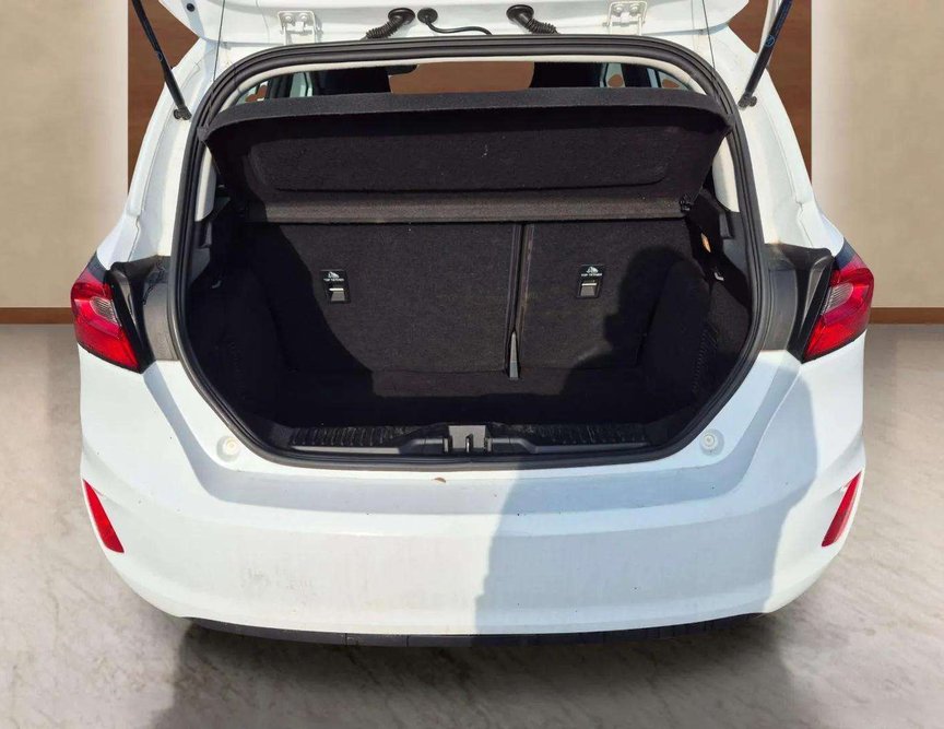 Ford Fiesta употребяван