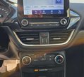 Ford Puma употребяван