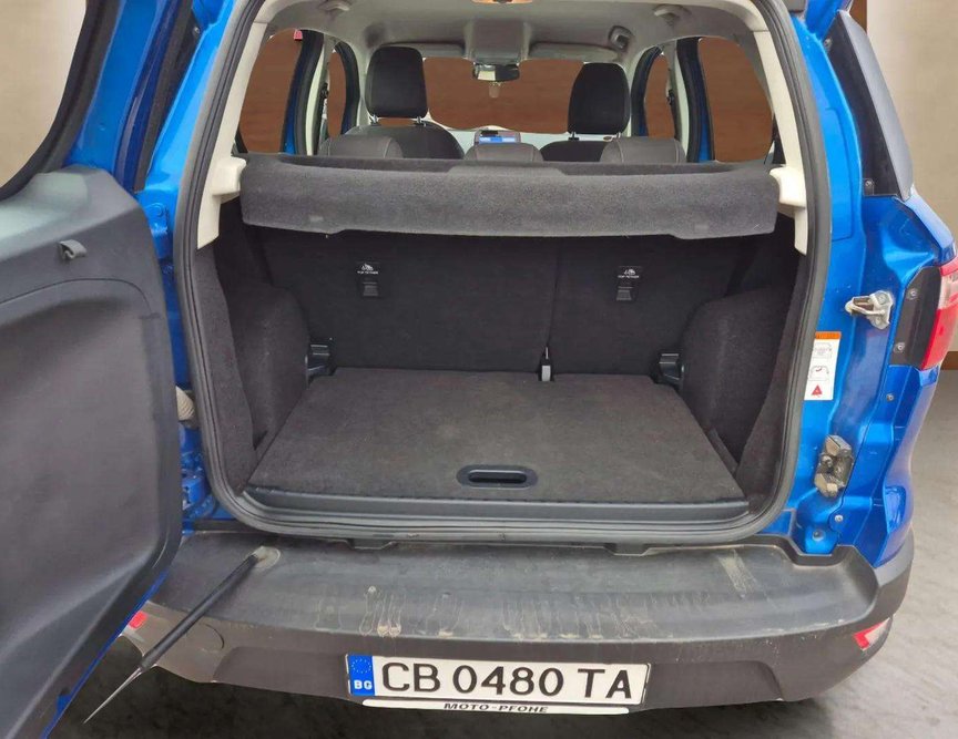 Ford EcoSport употребяван