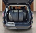Ford S-Max употребяван