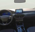 Ford Kuga употребяван