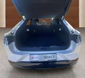Ford Mach-E употребяван