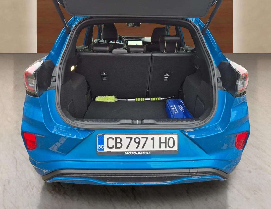 Ford Puma употребяван