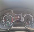Skoda Octavia употребяван