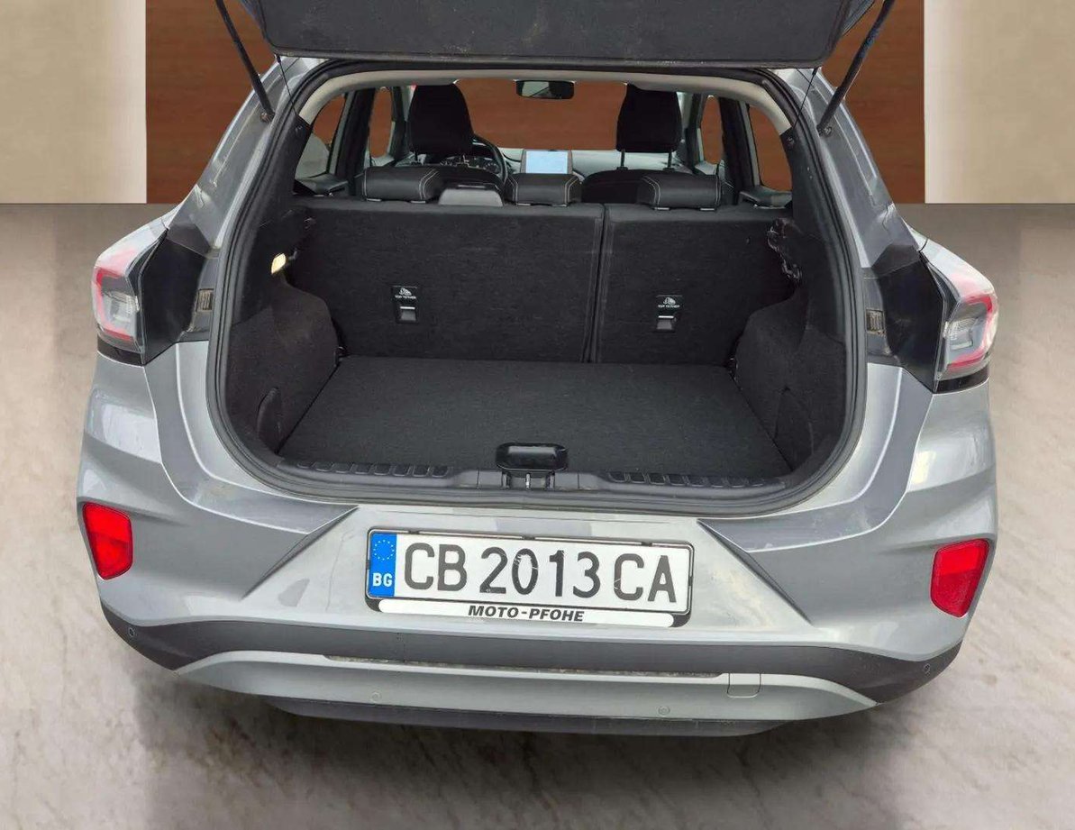 Ford Puma употребяван