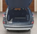 Ford Kuga употребяван