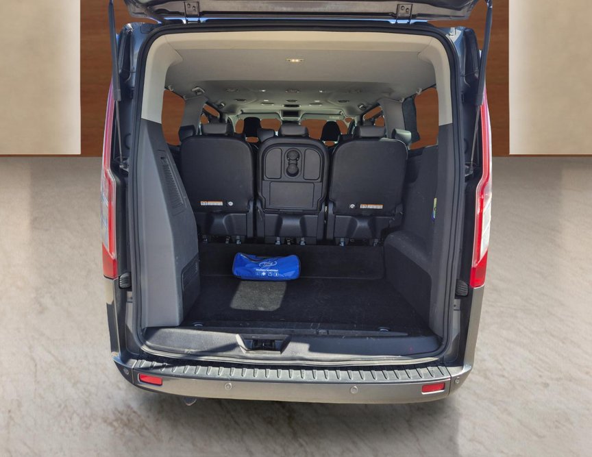 Ford Custom употребяван