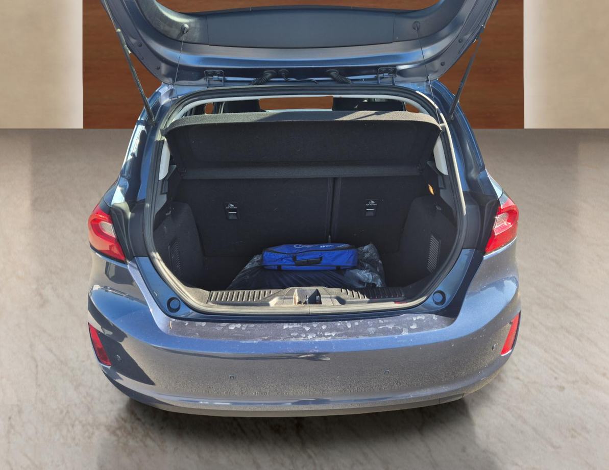 Ford Fiesta употребяван