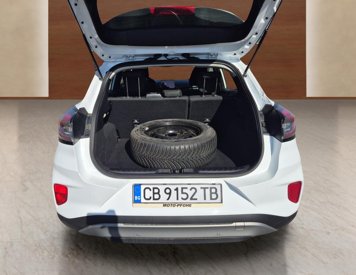 Ford Puma употребяван