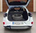 Ford Puma употребяван