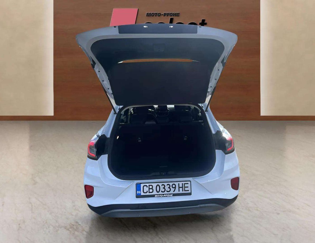 Ford Puma употребяван