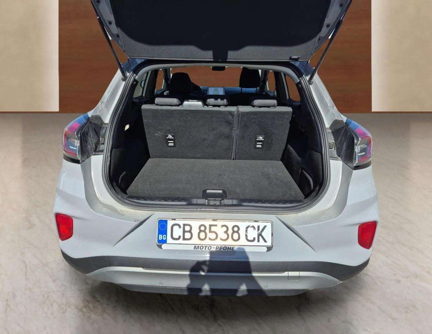 Ford Puma употребяван