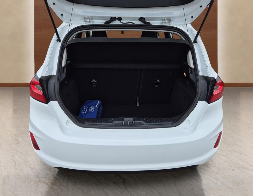 Ford Fiesta употребяван
