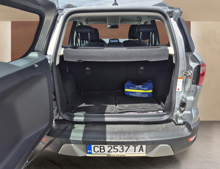 Ford EcoSport употребяван