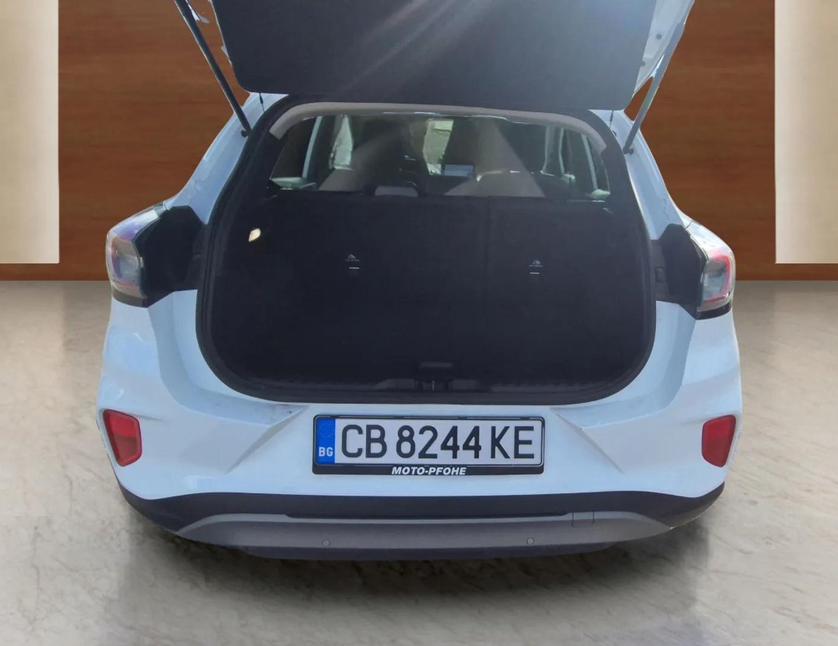 Ford Puma употребяван