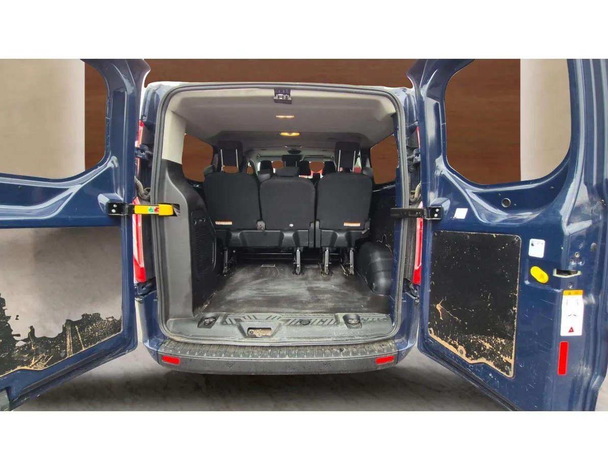 Ford Custom употребяван