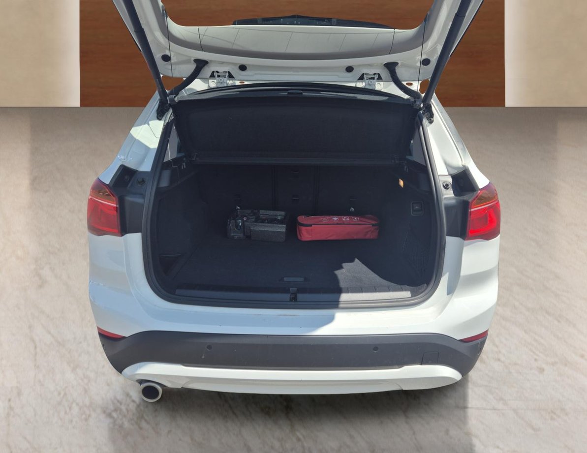 Bmw X1 употребяван
