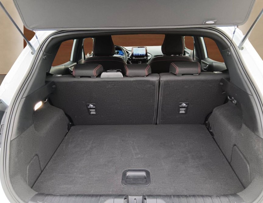 Ford Puma употребяван