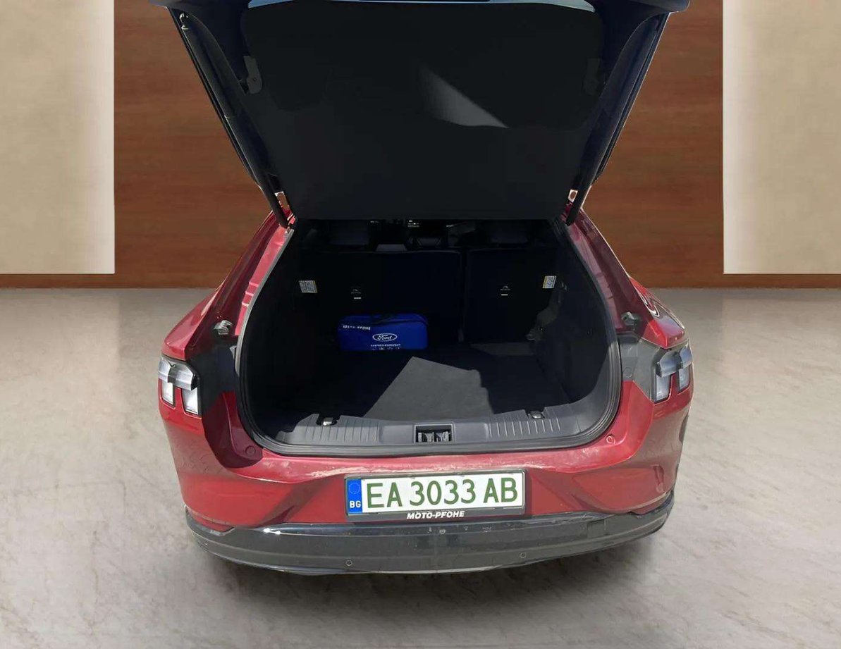 Ford Mach-E употребяван
