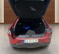 Ford Mach-E употребяван