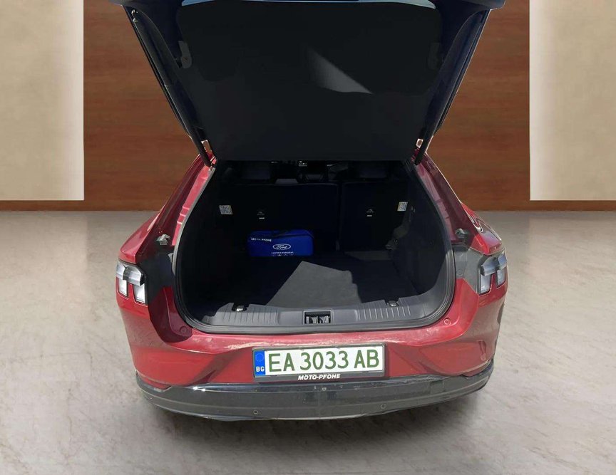 Ford Mach-E употребяван