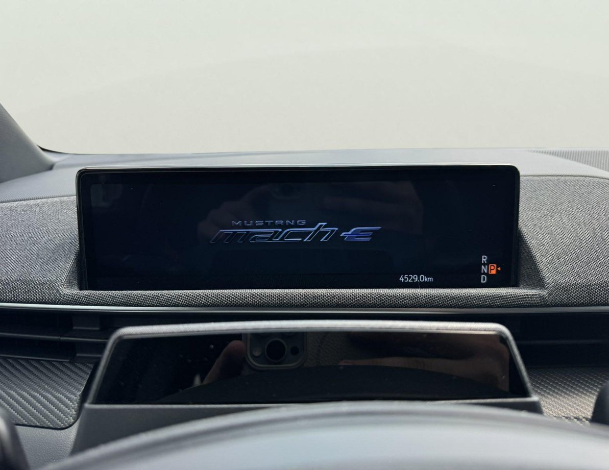 Ford Mach-E употребяван