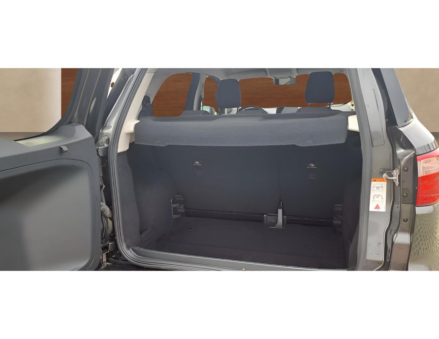 Ford EcoSport употребяван