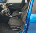 Ford Puma употребяван