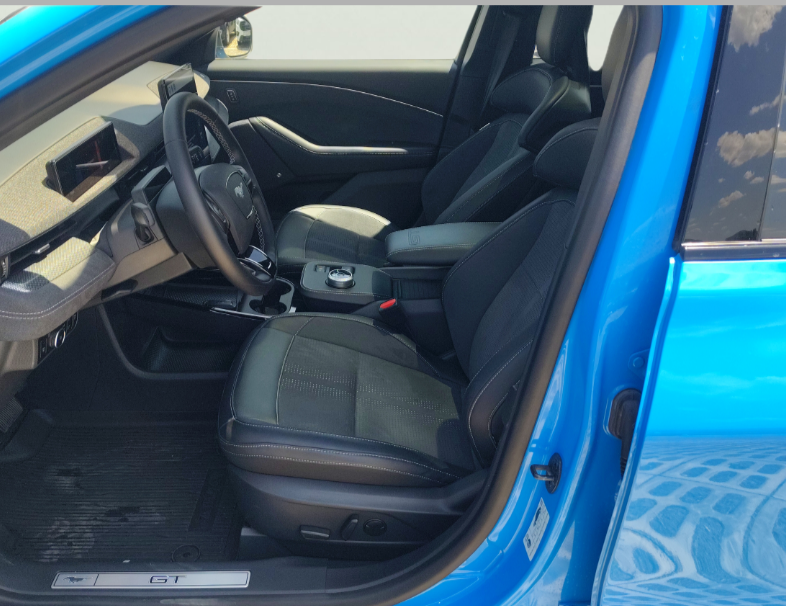 Ford Mach-E употребяван